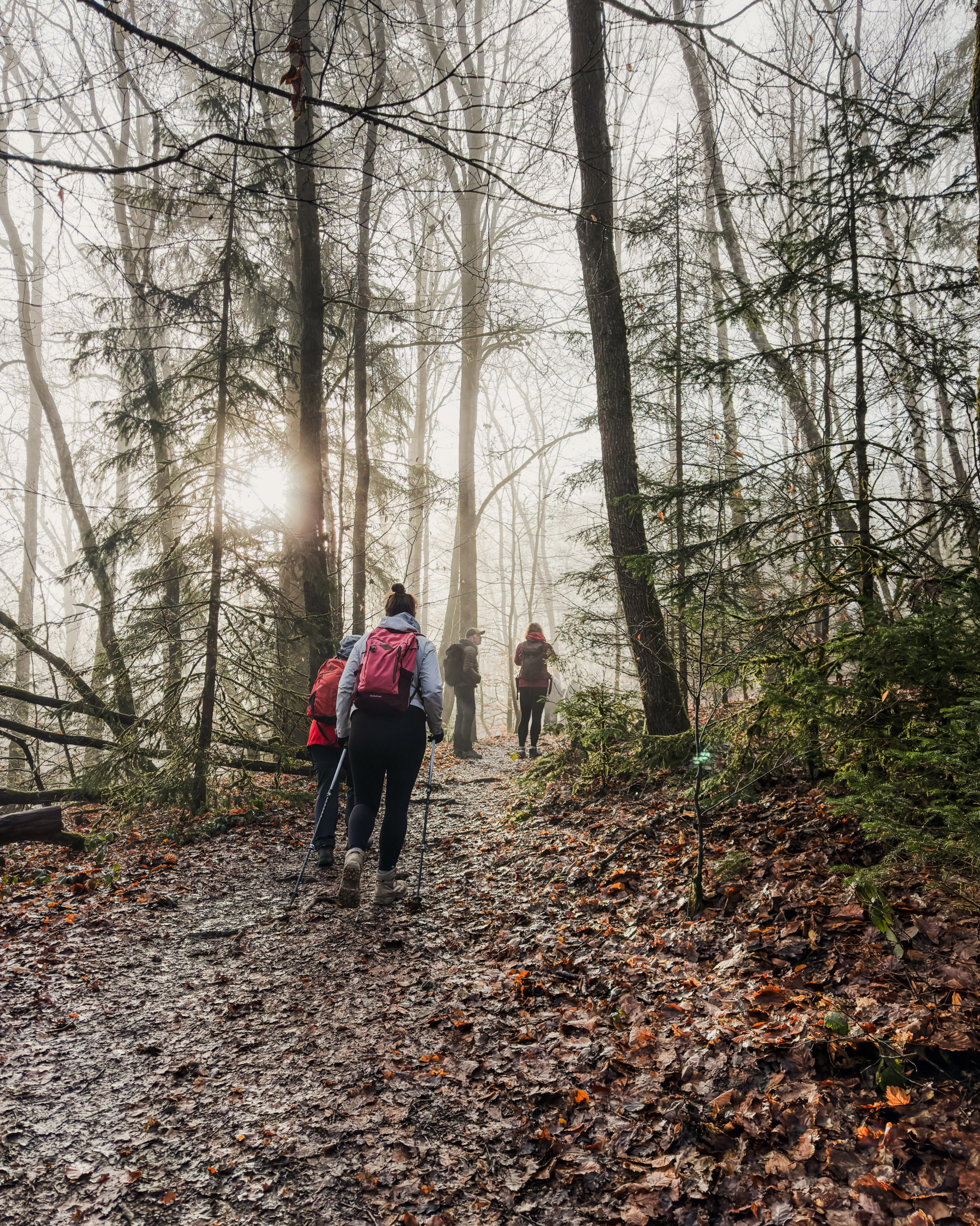 rando, immersion, nature